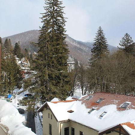 Central Park View Sinaia Exteriör bild