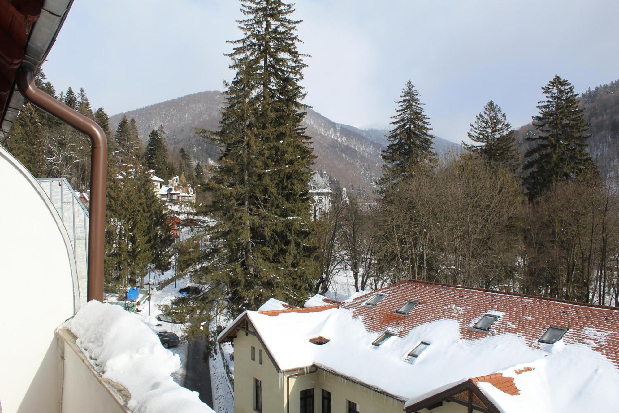 Central Park View Sinaia Exteriör bild