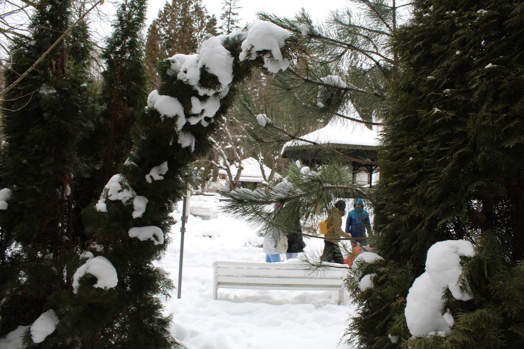 Central Park View Sinaia Exteriör bild