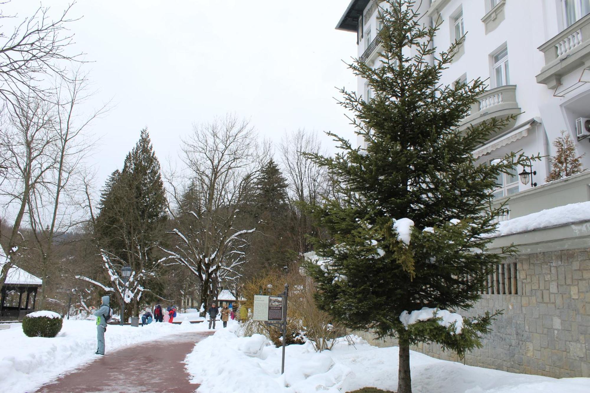 Central Park View Sinaia Exteriör bild