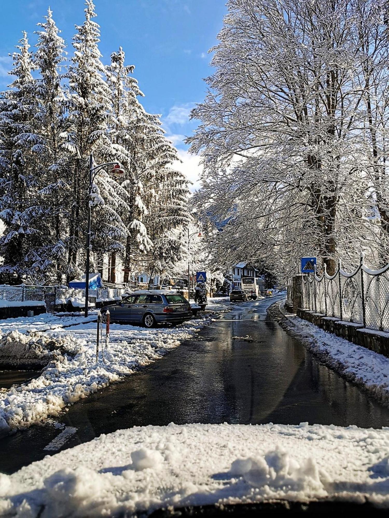 Central Park View Sinaia Exteriör bild