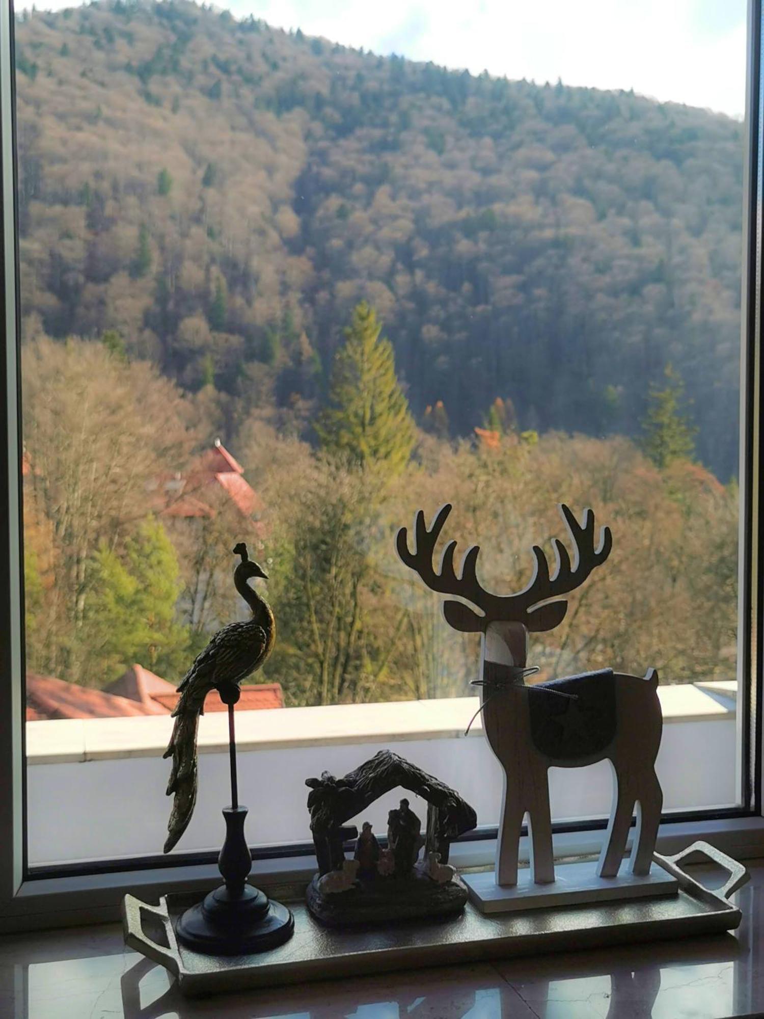 Central Park View Sinaia Exteriör bild