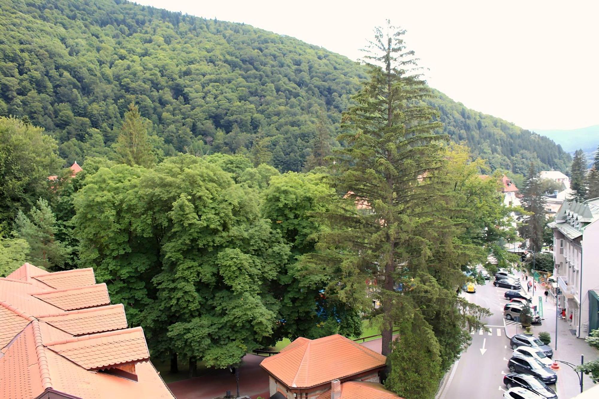 Central Park View Sinaia Exteriör bild